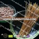 chick pea pasta supplier-spaghetti/linguine with high protein